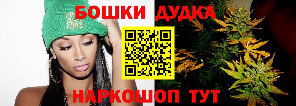 Каннабис планчик  Канабис марихуана  Марихуана сатива  Кириши  Вход с VPN 